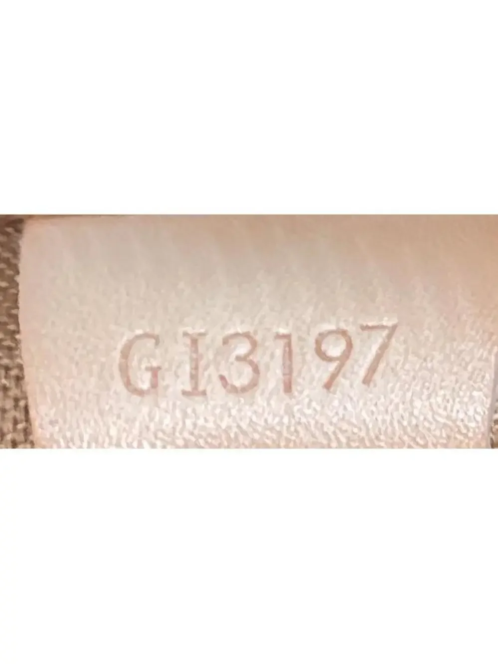 Louis Vuitton All In Handbag Canvas Gm #335309L18B